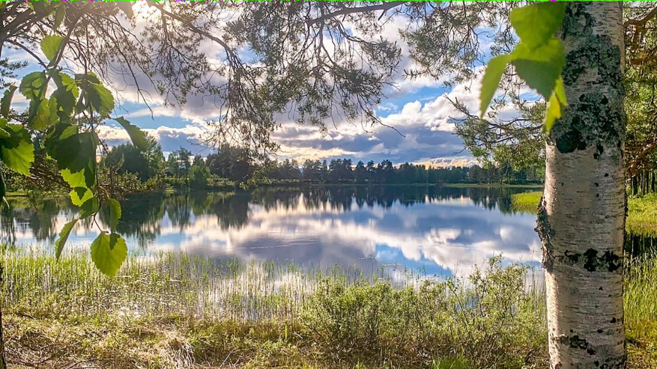 Trollforsen Camping & Cottages Gargnäs Eksteriør billede